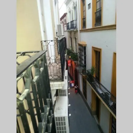 Loft Con Encanto En Casa Palacio Junto Catedral Wifi Apartment Seville