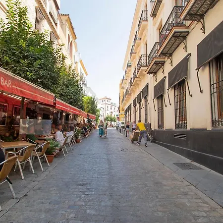 Loft Con Encanto En Casa Palacio Junto Catedral Wifi *