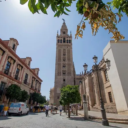 Loft Con Encanto En Casa Palacio Junto Catedral Wifi *