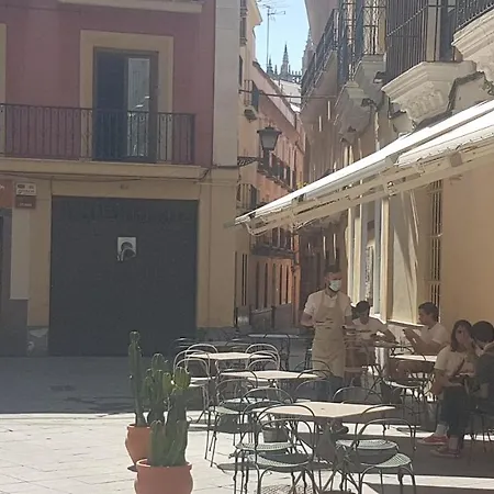 Loft Con Encanto En Casa Palacio Junto Catedral Wifi Seville
